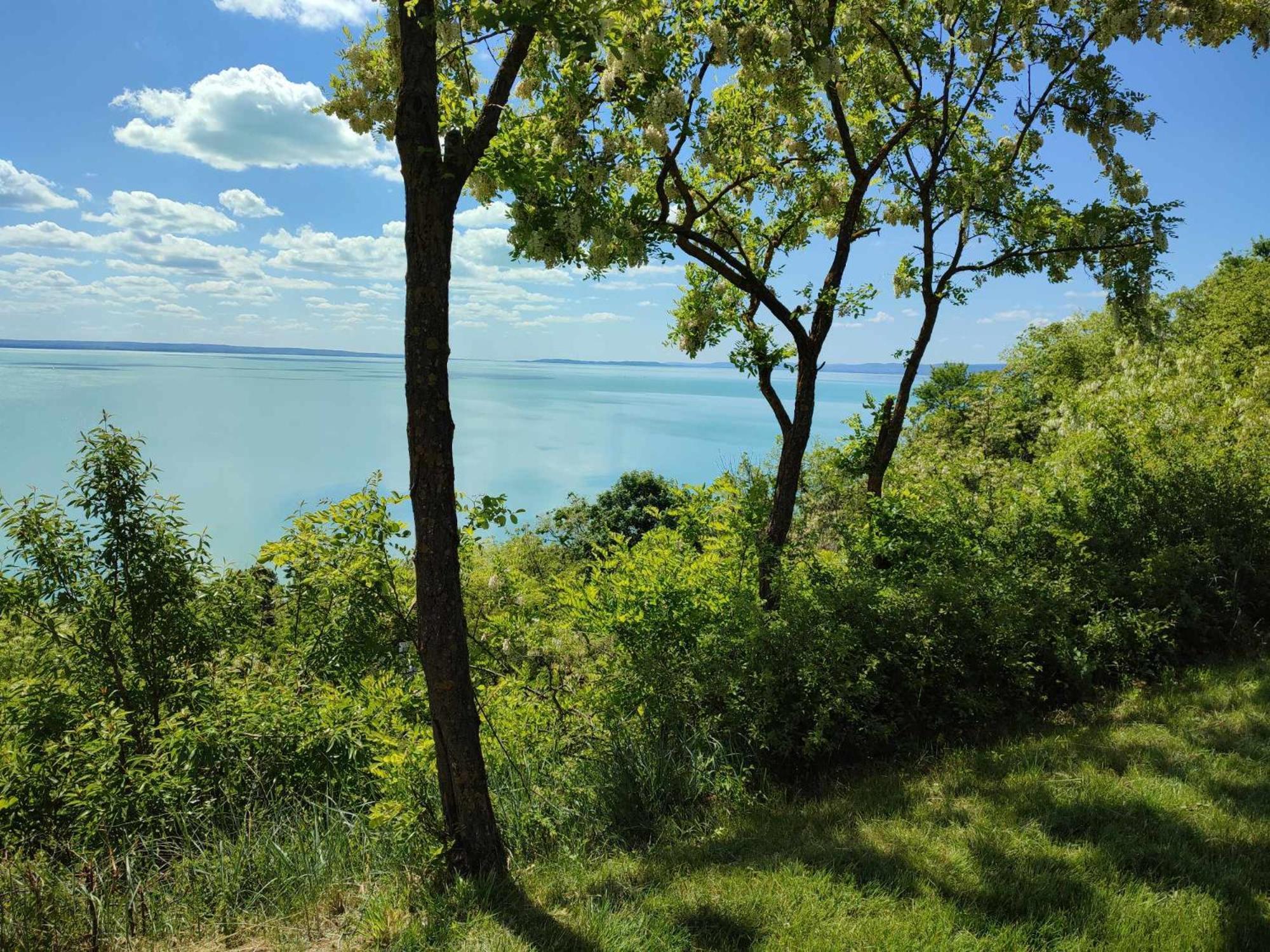 Akarattya Endless Summer Woodhouse Balatonakarattya